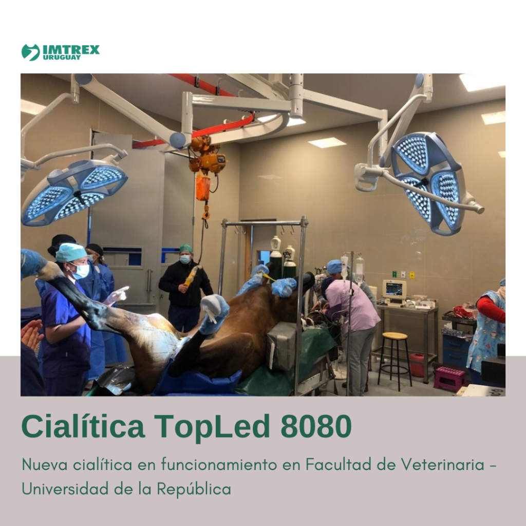 Quedaron instaladas 3 cialíticas TopLed8080 en la Nueva Facultad de Veterinaria – UdelaR